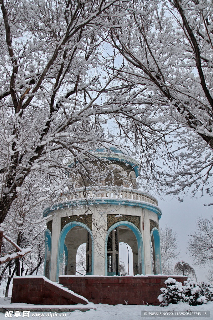 雪景