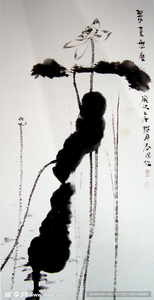墨荷