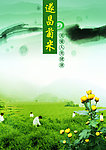 遂昌菊米招贴