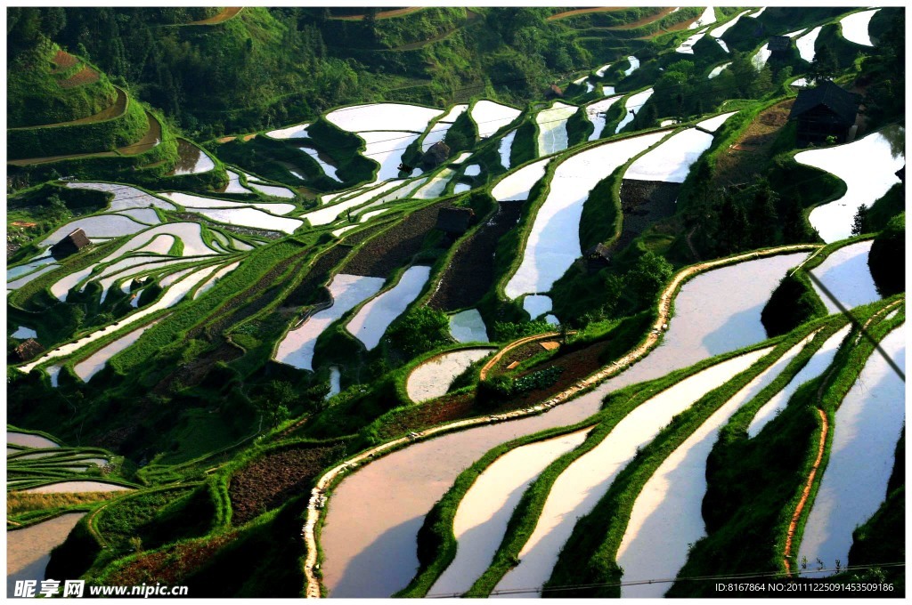 贵阳 高坡 梯田