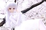 芭比娃娃