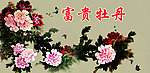富贵牡丹