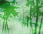 LED视频 竹林