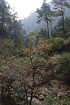 大千山旅游照片