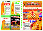 种业