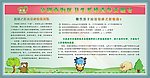 文明青年号