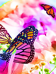 梦幻花纹