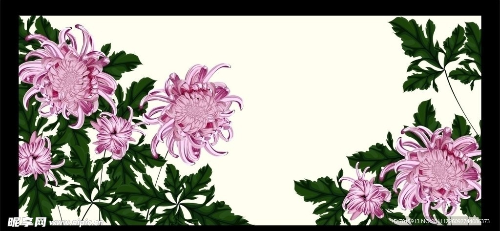 菊花