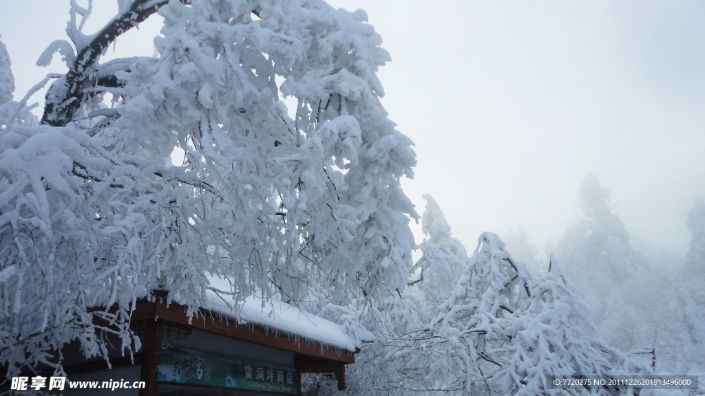 黄昏雪树