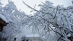 纯净的雪(非高清)