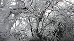 峨眉乱雪