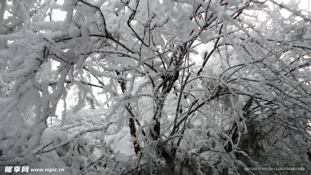 峨眉乱雪