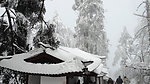 厚厚的雪