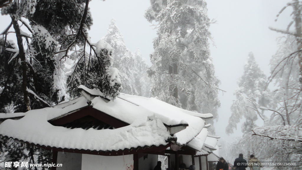 厚厚的雪