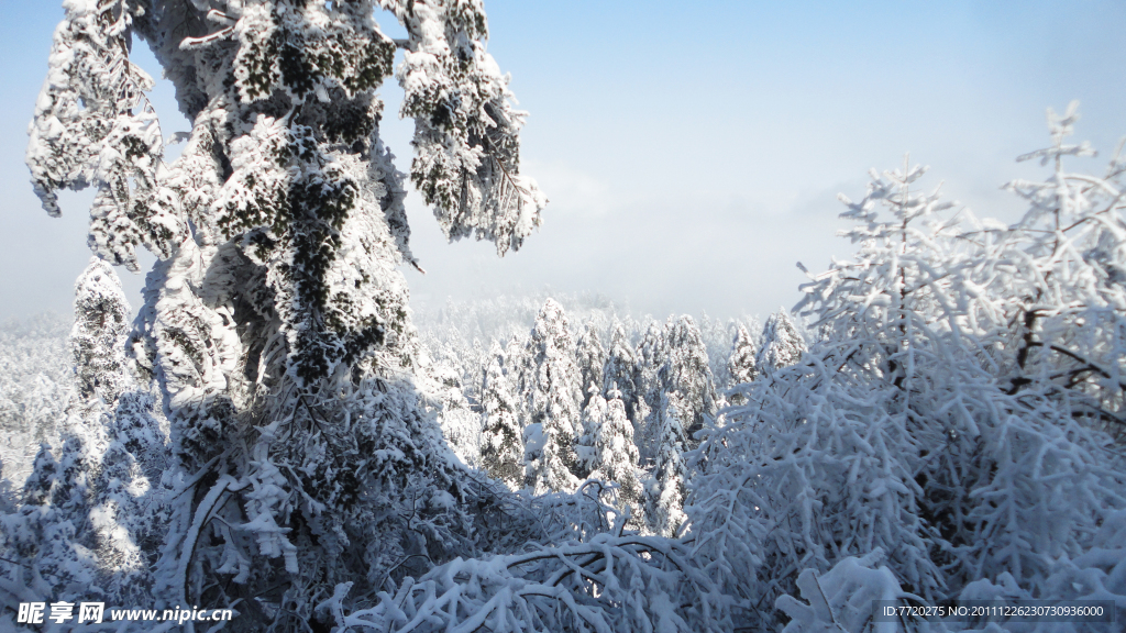 冬雪