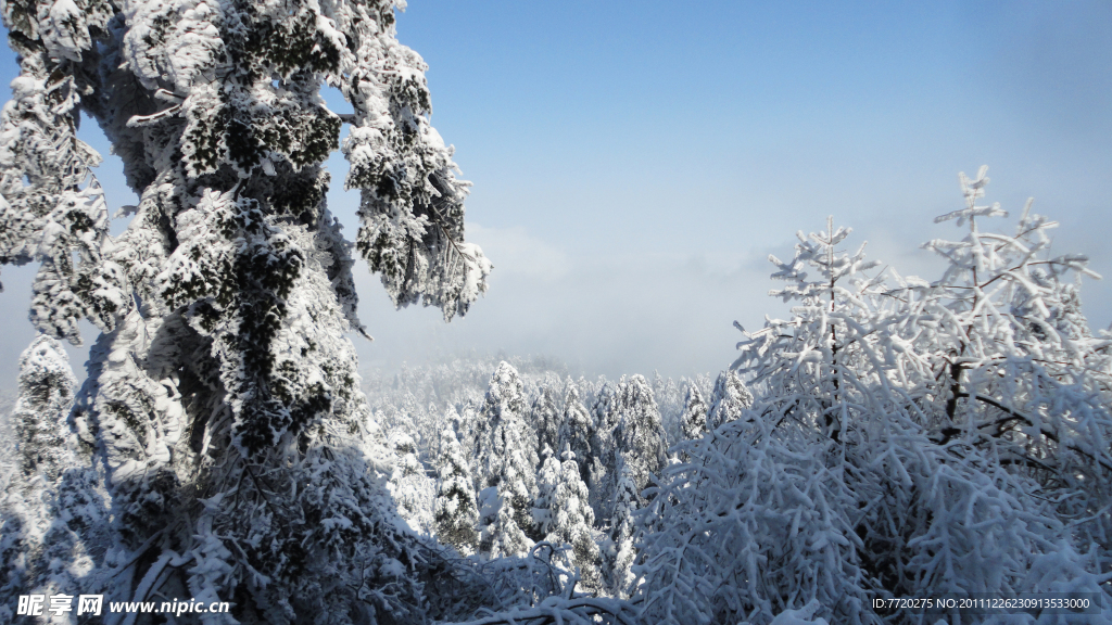 冬雪峨眉山