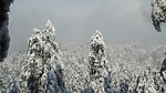峨眉雪