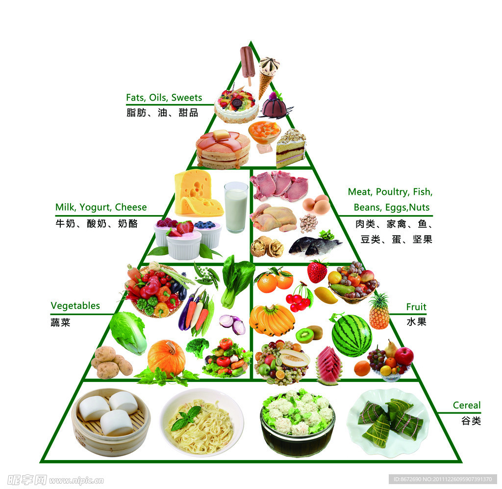 健康营养饮食结构图