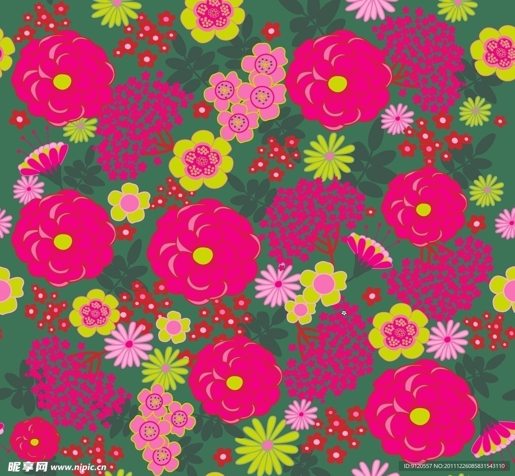 漂亮的花朵