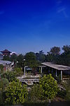 岱庙