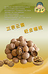 干果画册