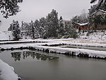 雪景