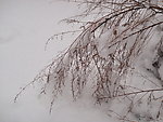雪景