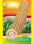 玉米杂交种包装