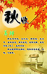 秋收养肺