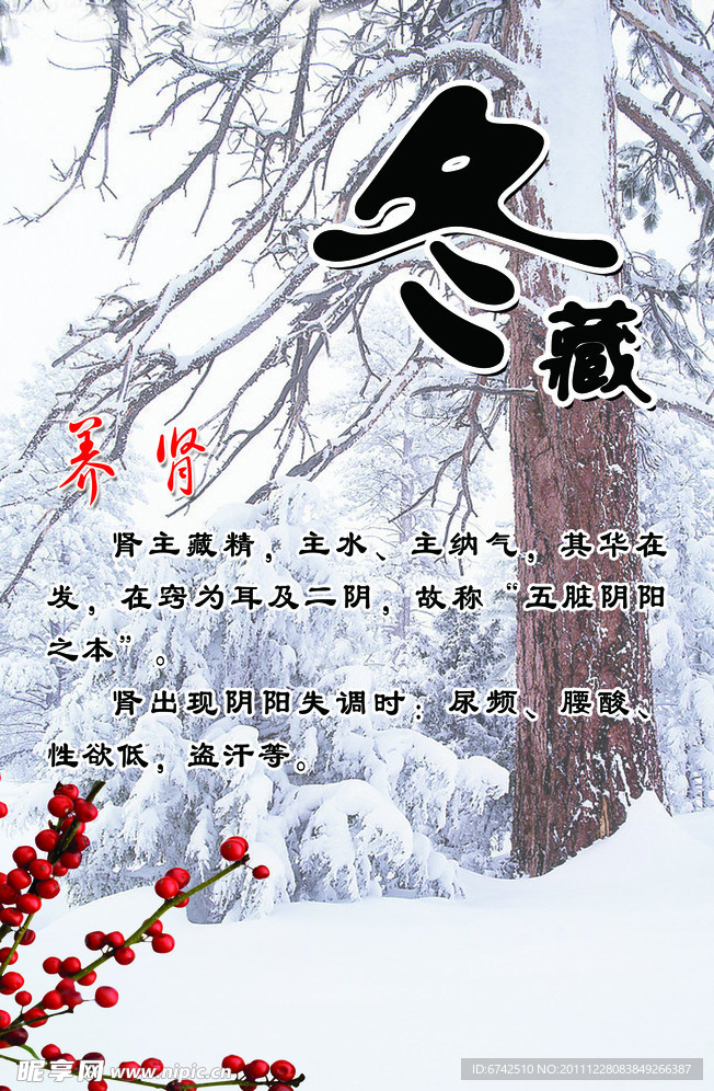 冬藏养肾