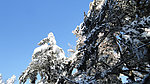 蓝天白雪