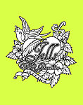 小鸟