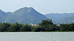 海鸥