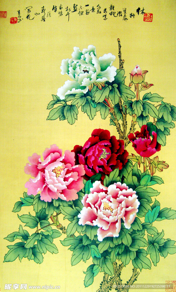牡丹花开富贵来