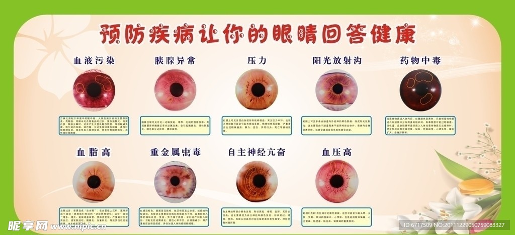 虹膜保健分析图