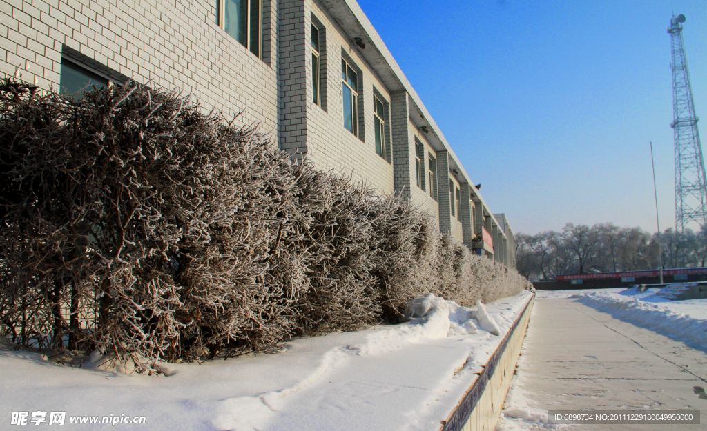 通南 中学 雪景