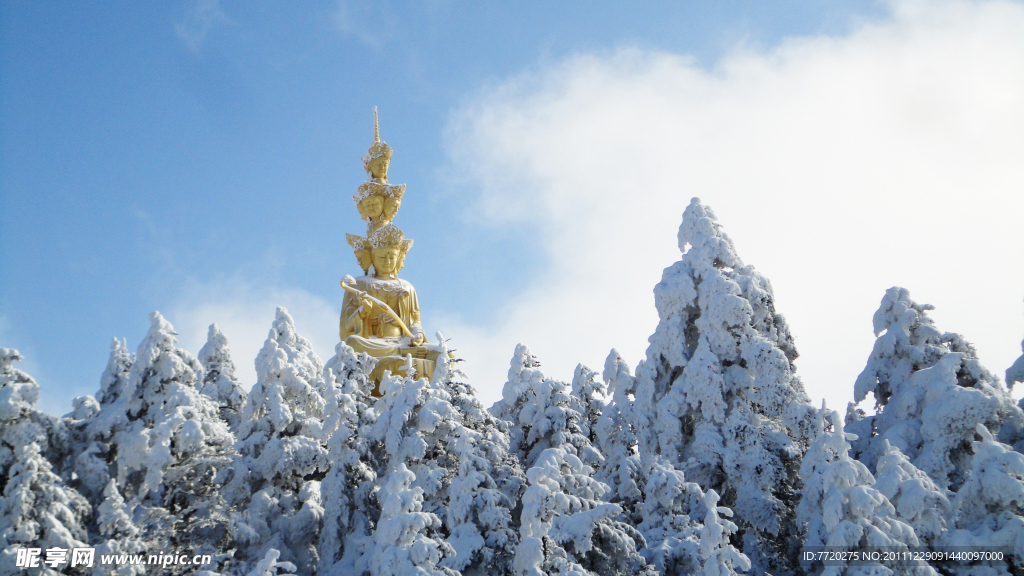 雪松林(非高清)