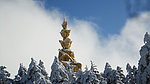 雪松林(非高清)