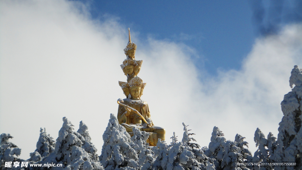 雪松林(非高清)