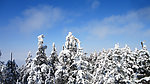 蓝天白雪