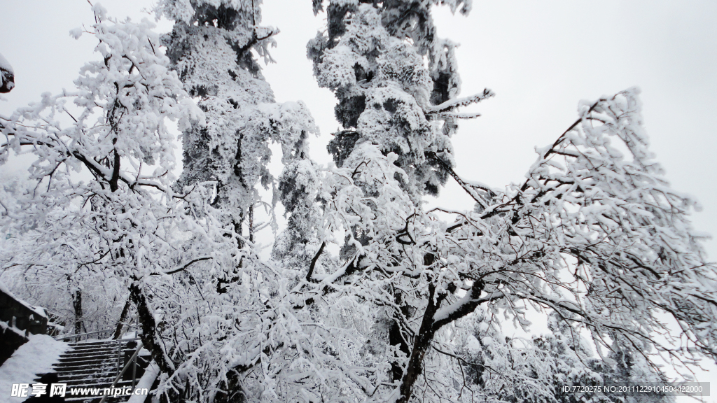 雪舞