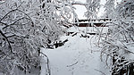 雪景(非高清)