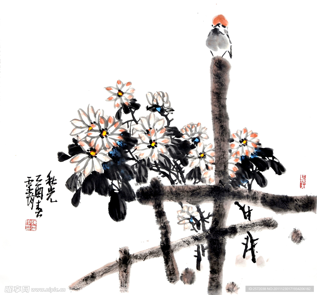 秋光