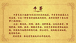 药品说明牌