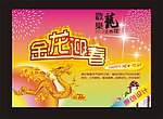 金龙迎春 春节