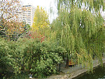 公园风景