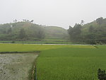 田园风光