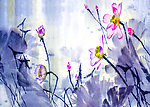 莲花水墨画（非高清）