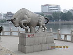 奔牛