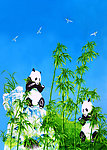 熊猫 移门